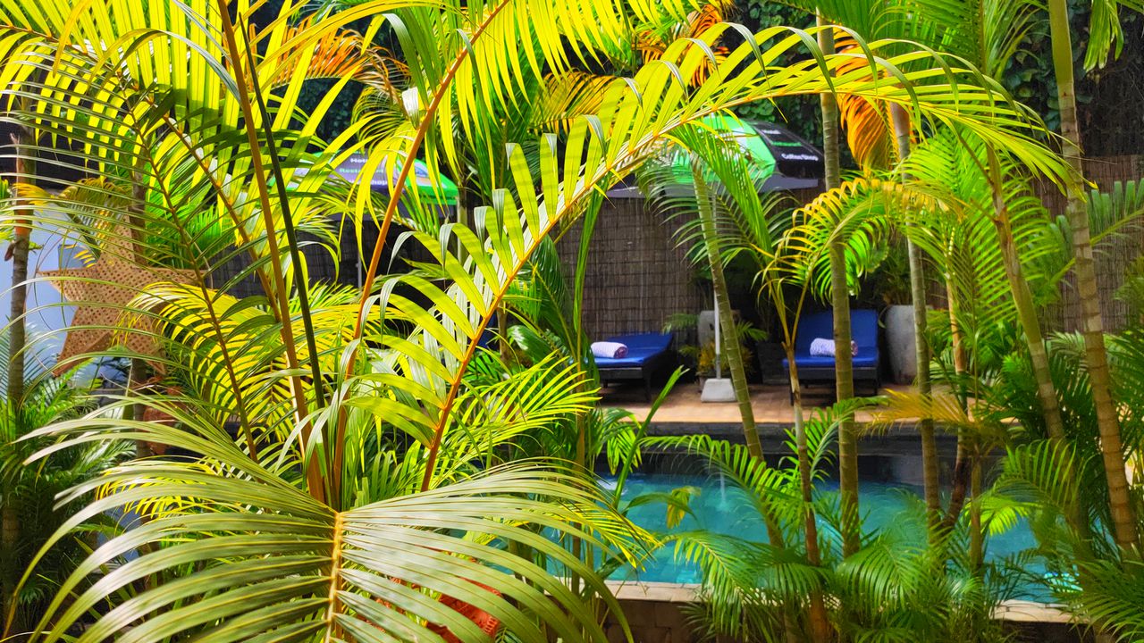 Our Urban Oasis::Relaxing time area